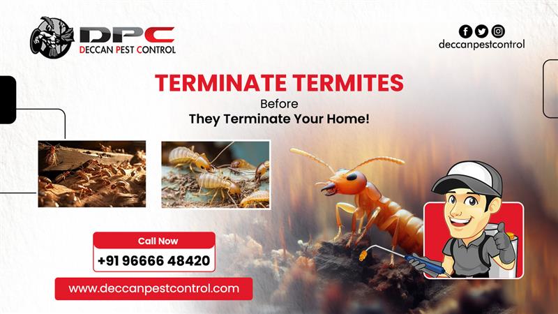 termite control
