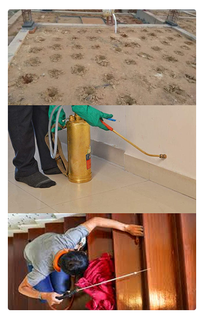 Our Termite Control Services